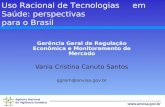 Gerência Geral de Regulação Econômica e Monitoramento de Mercado Vania Cristina Canuto Santos