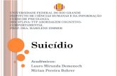 Suicídio Acadêmicos: Lauro Miranda  Demenech Mírian  Pereira  Bohrer