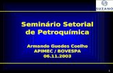 Seminário Setorial de Petroquímica Armando Guedes Coelho APIMEC / BOVESPA 06.11.2003