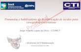 Jorge Vicente Lopes da Silva – CTI/MCT