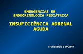 EMERGÊNCIAS EM  ENDOCRINOLOGIA PEDIÁTRICA INSUFICIÊNCIA ADRENAL AGUDA