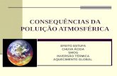 CONSEQUÊNCIAS DA POLUIÇÃO ATMOSFÉRICA