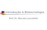 Introdução à Biotecnologia