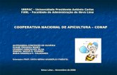 UNIPAC – Universidade Presidente Antônio Carlos FANL - Faculdade de Administração de Nova Lima