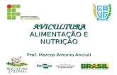 AVICULTURA ALIMENTAÇÃO E NUTRIÇÃO Prof. Marcos Antonio  Anciuti