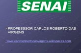 PROFESSSOR CARLOS ROBERTO DAS VIRGENS   carlosrobertodasvirgens.wikispaces