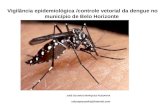 Vigilância epidemiológica /controle vetorial da dengue no município de Belo Horizonte