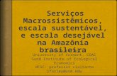 Serviços Macrossistêmicos, escala sustentável, e escala desejável na Amazônia brasileira
