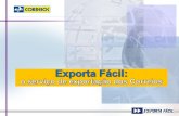 Exporta Fácil: o serviço de exportação dos Correios