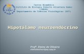 Hipotálamo neuroendócrino