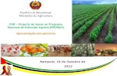 República de Moçambique Ministério da Agricultura