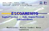 ESCOAMENTO Superficial – Sub-Superficial - Subterrâneo