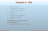 Capítulo 4:  SQL