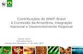 Contribuições do WWF-Brasil à Comissão da Amazônia, Integração Nacional e Desenvolvimento Regional