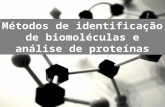 Métodos de identificação de biomoléculas e análise de proteínas