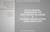 Insulinoma , Síndrome de Zollinger Ellison e outras  neoplasisa  pancreáticas