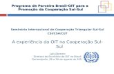 Seminário Internacional de Cooperação Triangular Sul-Sul CSI/CSA/CUT
