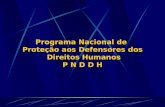 Programa Nacional de  Proteção aos Defensores dos  Direitos Humanos P N D D H