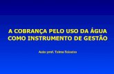 A COBRANÇA PELO USO DA ÁGUA COMO INSTRUMENTO DE GESTÃO Aula: prof. Telma Teixeira