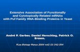 André P. Gerber, Daniel Herschlag, Patrick O. Brown. PLos Biology Março 2004 vol2 (3) 342-354