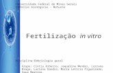 Fertilização  in vitro