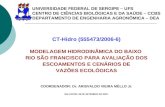 CT-Hidro (555473/2006-6) MODELAGEM HIDRODINÂMICA DO BAIXO  RIO SÃO FRANCISCO PARA AVALIAÇÃO DOS