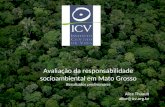 Avaliação da responsabilidade socioambiental em Mato Grosso Resultados preliminares Alice Thuault