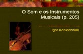 O Som e os Instrumentos Musicais (p. 205)
