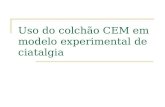 Uso do colchão CEM em modelo experimental de ciatalgia