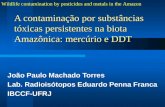 A contaminação por substâncias tóxicas persistentes na biota Amazônica: mercúrio e DDT