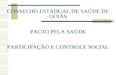 CONSELHO ESTADUAL DE SAÚDE DE GOIÁS PACTO PELA SAÚDE PARTICIPAÇÃO E CONTROLE SOCIAL