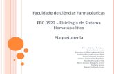 Faculdade de Ciências Farmacêuticas FBC 0522 – Fisiologia do Sistema Hematopoético Plaquetopenia