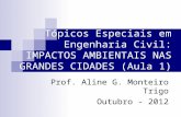 Tópicos Especiais em Engenharia Civil: IMPACTOS AMBIENTAIS NAS GRANDES CIDADES (Aula 1)