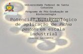 Universidade Federal de Santa Catarina Programa de Pós-Graduação em Biotecnologia