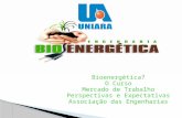 O que é Engenharia Bioenergética? O Curso Mercado de Trabalho Perspectivas e Expectativas