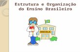 Estrutura e Organização do Ensino Brasileiro