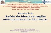 Seminário Saúde do Idoso na região metropolitana de São Paulo