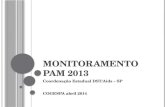 Monitoramento PAM 2013