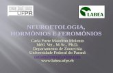 Neuroetologia , hormônios e  feromônios