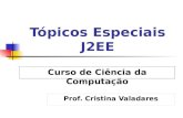 Tópicos Especiais J2EE