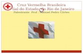 Tema:  Violência  Doméstica Rio de Janeiro  2011