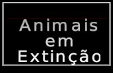 Animais em  Extinção