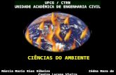 UFCG / CTRN UNIDADE ACADÊMICA DE ENGENHARIA CIVIL