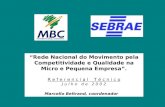 “Rede Nacional do Movimento pela Competitividade e Qualidade na Micro e Pequena Empresa”.