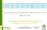 RELATO DO PROCESSO DE ELABORAÇÃO DOS PLANOS ESTADUAIS DE CULTURA Estado:  Mato Grosso
