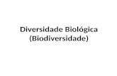 Diversidade Biológica (Biodiversidade)