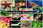 Taxonomia Biológica