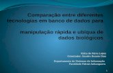 Kátia de Paiva Lopes Orientador: Sandro Renato Dias Departamento de Sistemas de Informação