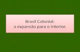 Brasil Colonial: a expansão para o interior.