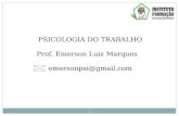 PSICOLOGIA DO TRABALHO Prof. Emerson Luiz Marques emersonpsi@gmail.com
